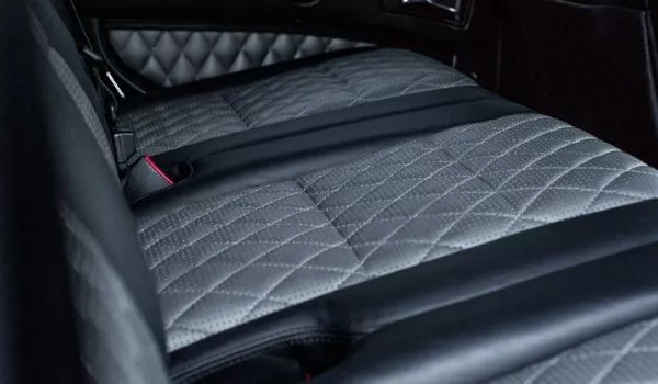 Can Bed Bugs Live In The Leather Seat Of A Car