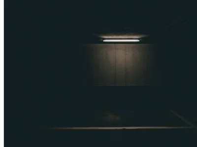 Bed bugs in dark closet