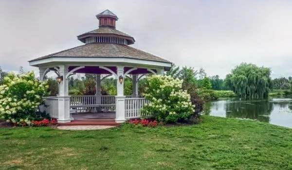 How Long Bed Bugs Can Survive At Parks?