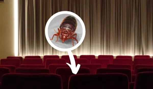 can bed bugs get into movie theater