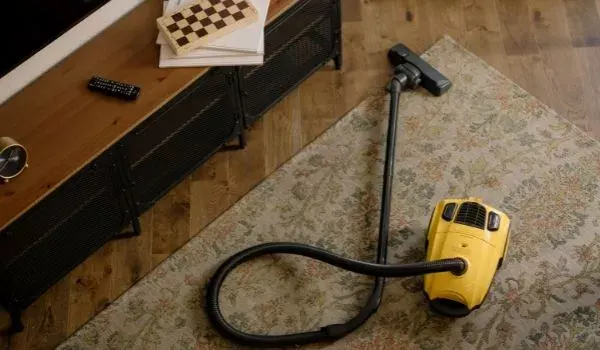Vacuum Cleaner to kill bed bugs in wooden floor