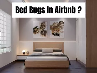 Bed Bugs In Airbnb
