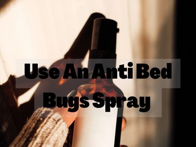 Use An Anti Bed Bugs Spray