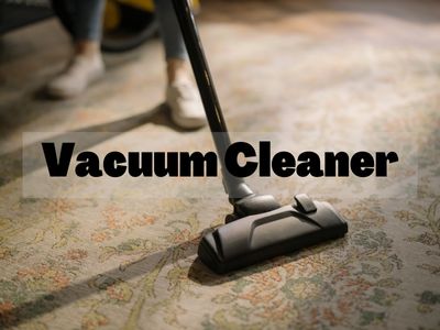 Vacuum Cleaner for bed bugs