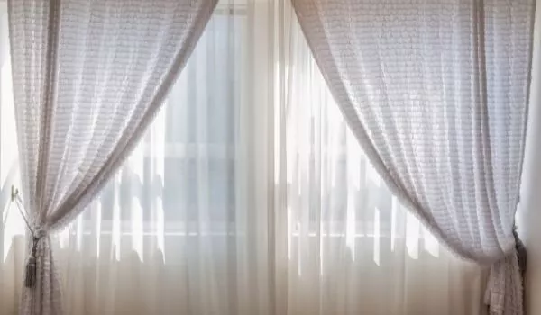 Where Do Bed Bugs Can Hide In Your Curtains