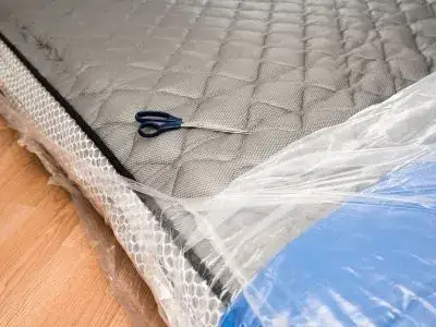 Can Bed Bugs Live On Plastic Mattresses, Bed Bugs Hide In Plastic